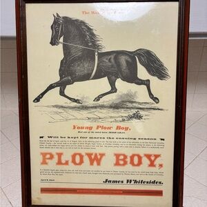 reproduction print framed of an advertisement for a stud horse named "Plow Boy"